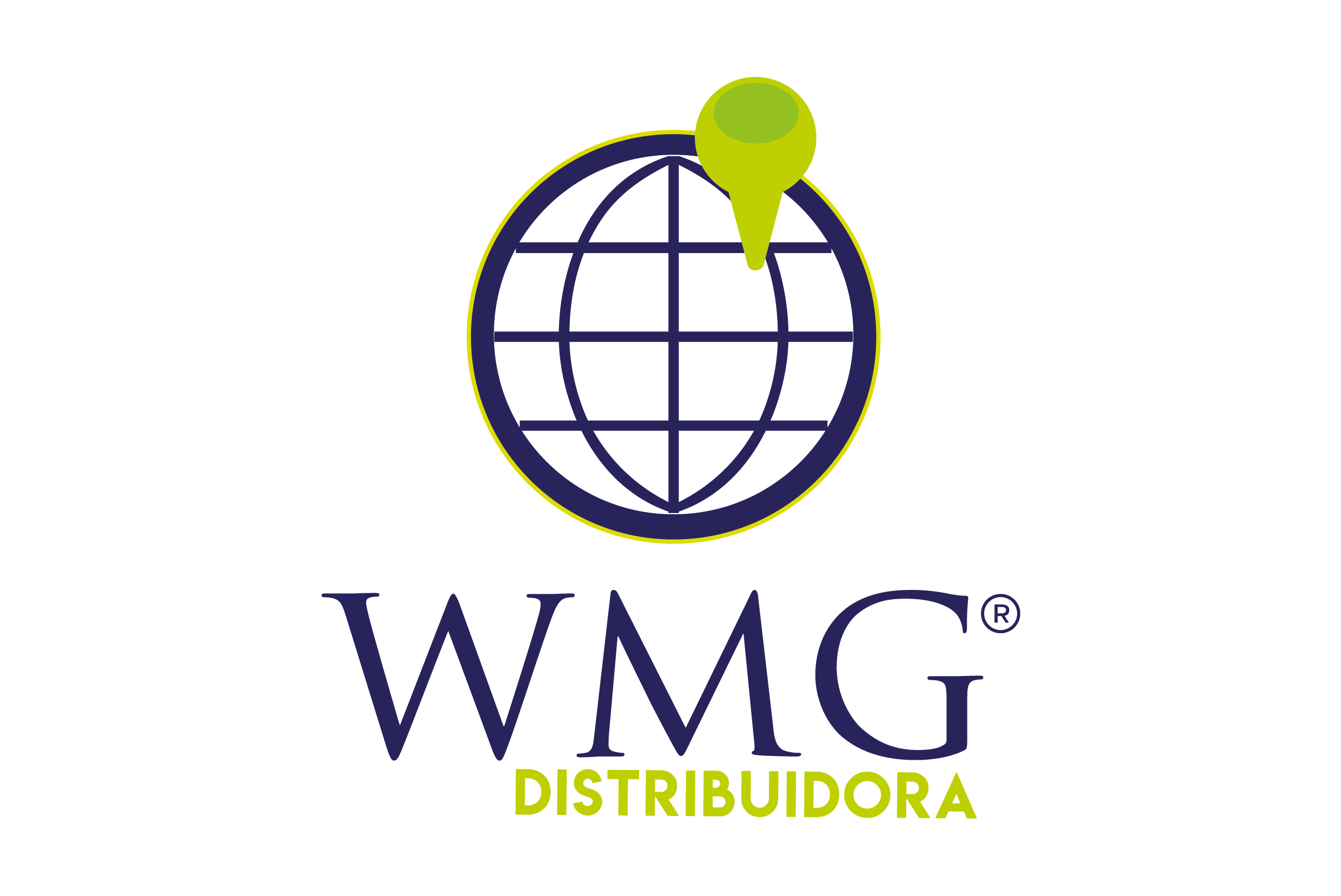 WMG DISTRIBUIDORA